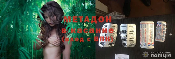 прущие грибы Арсеньев