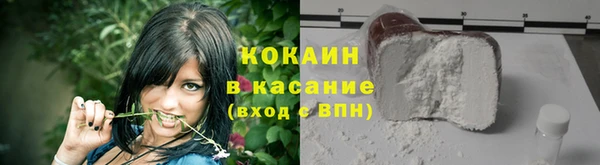 прущие грибы Арсеньев