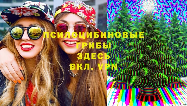 кокс Аркадак