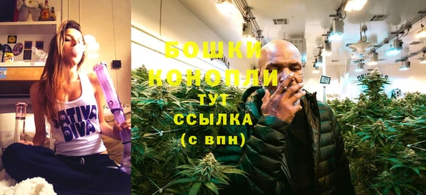 прущие грибы Арсеньев